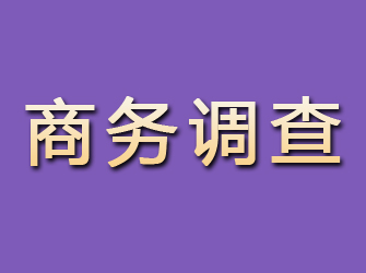 柳城商务调查